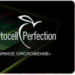 Beautyssima «Phytocell Perfection»