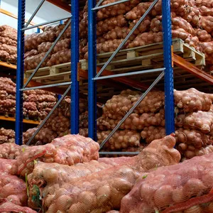 Продам Лук свежий урожай 2011года 3000 тонн