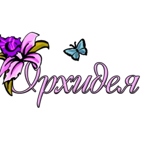 Орхидея - оформление торжеств в городе Шымкент  