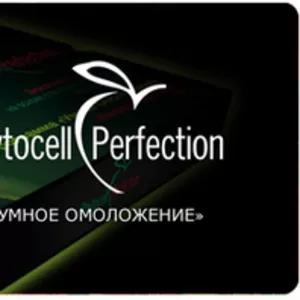 Beautyssima «Phytocell Perfection»