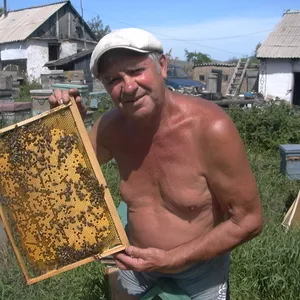 Продаю оптом мед со своей пасеки