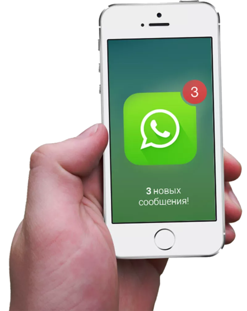 Программа для Whatsapp рассылки